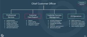 Customer Success team structure