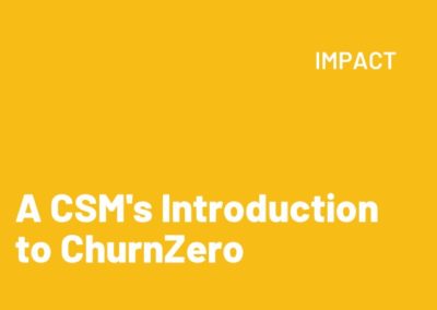A CSM’s Introduction to ChurnZero