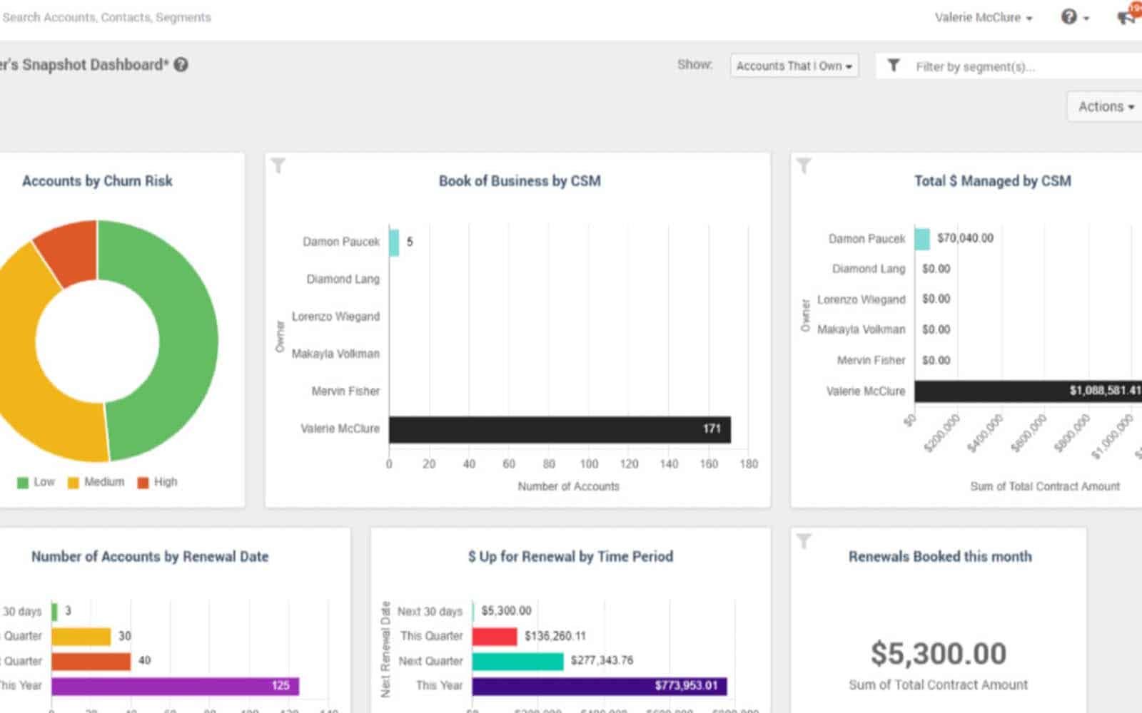 Customer-Success-Data-Access-1080×675-1