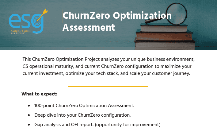 ESG - ChurnZero Optimization Assessment