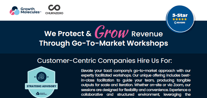 Growth Molecules - Customer Journey Mapping - ChurnZero