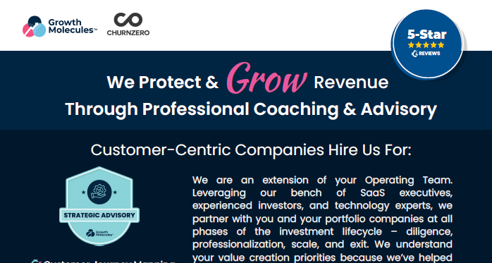 Growth Molecules - Fractional Leadership - ChurnZero